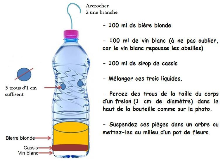 Pièges Frelons Asiatiques